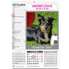 3 Monats Kalender 2022 HundeZeit